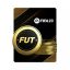 بلیط مسابقات فیفا 23 آلتیمیت FIFA 23 Ultimate Tickets