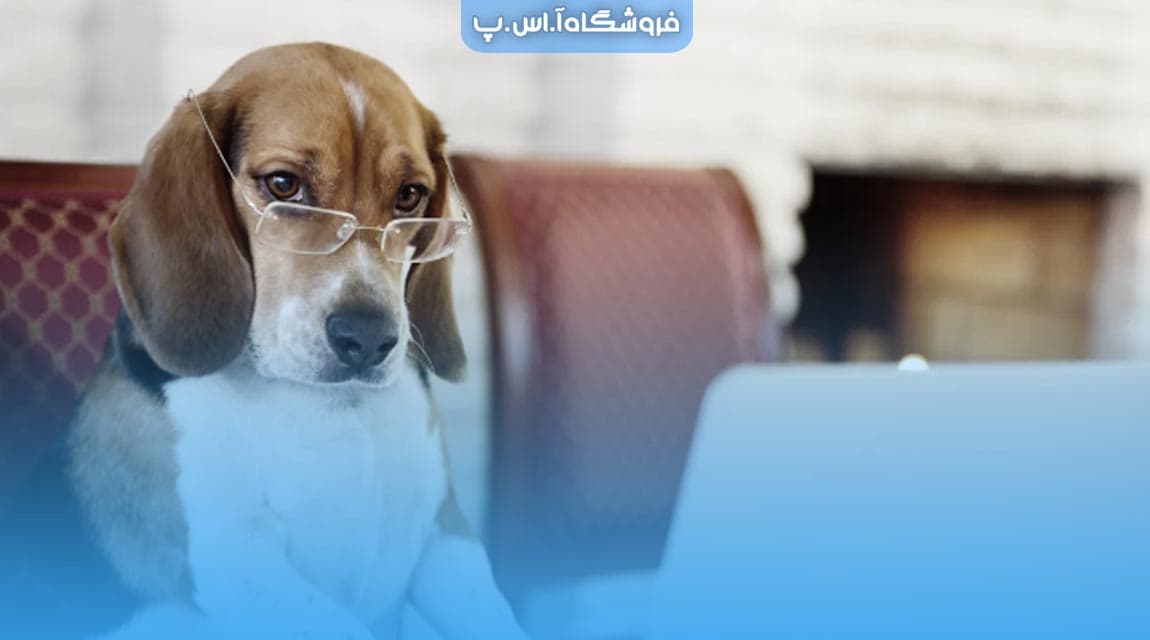 عنوان مقاله HoundDog