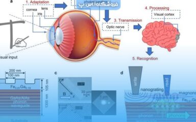 محاسبات نورومورفیک