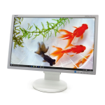 مانیتور ۲۲ اینچی ان ای سی مدل NEC EA221WM، رزولوشن 1680×1050 (WSXGA+) و نور پسزمینه CCFL، دارای یک عدد DVI،یک عدد VGA با نسبت تصویر 16:10 مانیتور ۲۲ اینچی ان ای سی مدل NEC EA221WM، رزولوشن 1680×1050 (WSXGA+) و نور پسزمینه CCFL، دارای یک عدد DVI،یک عدد VGA با نسبت تصویر 16:10