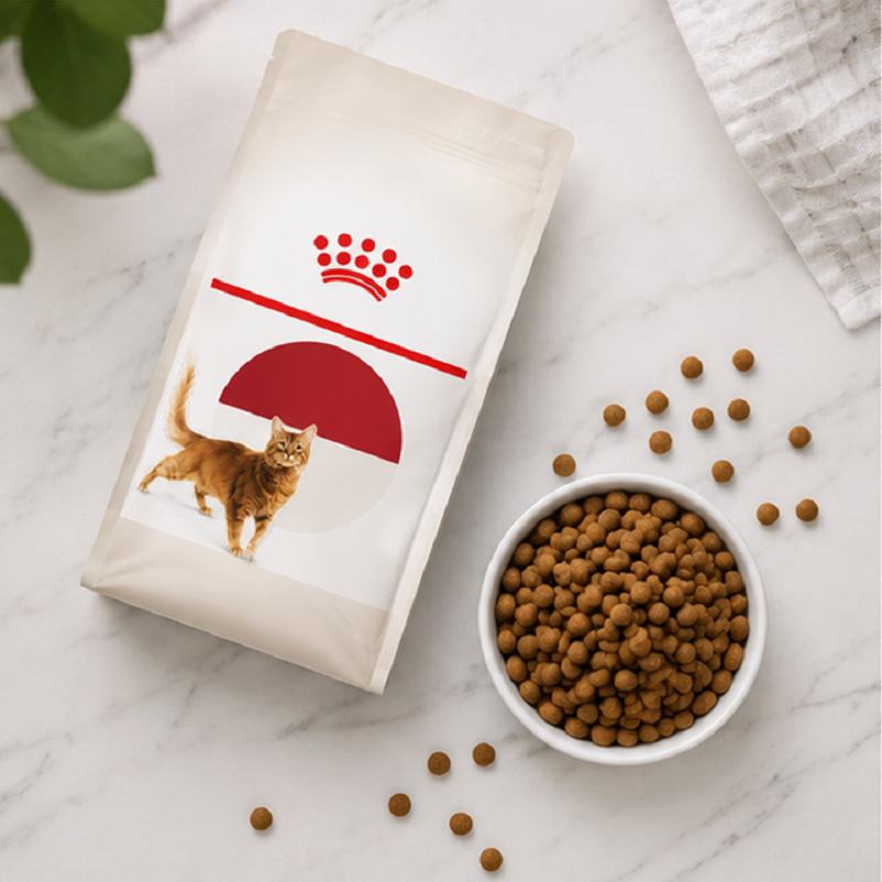 غذای خشک گربه رویال کنین فیت 500 گرم Royal Canin Fit