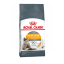 غذای خشک گربه رویال کنین پوست و مو 500 گرم Royal Canin Hair-Skin