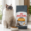 غذای خشک گربه پوست و مو رویال کنین 2 کیلوگرم Royal Canin Hair and Skin