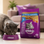 غذای خشک گربه بالغ ویسکاس 1.4 کیلوگرم Whiskas Adult