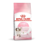 غذای خشک گربه کیتن رویال کنین 1 کیلوگرم Royal Canin kitten