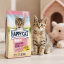 غذای خشک بچه گربه هپی کت مینکاس جونیور 10 کیلوگرم Happy Cat Minkas Junior