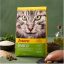 غذای خشک گربه بالغ جوسرا سنسی کت 2 کیلوگرم Josera sensicat