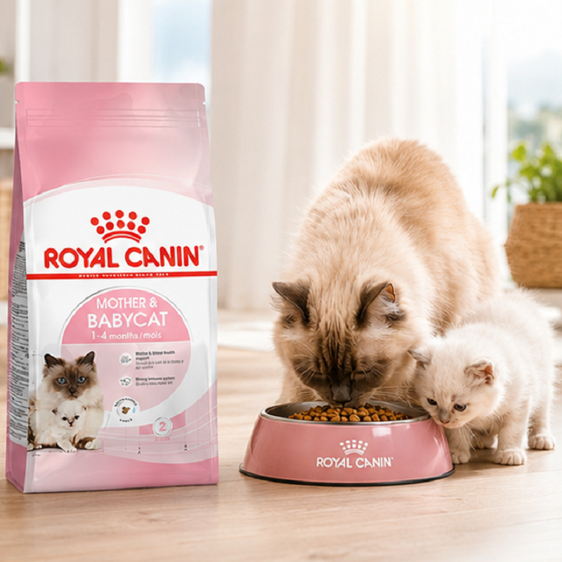 غذای خشک گربه مادر و بچه رویال کنین 1 کیلوگرم Royal Canin Mother and Baby
