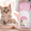 غذای خشک گربه رویال کنین کیتن 500 گرم Royal Canin Kitten