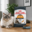 غذای خشک گربه پوست و مو رویال کنین 1 کیلوگرم Royal Canin Hair and Skin