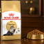 غذای خشک گربه پرشین رویال کنین 10 کیلوگرم Royal Canin Persian Adult