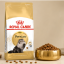 غذای خشک گربه پرشین رویال کنین 10 کیلوگرم Royal Canin Persian Adult