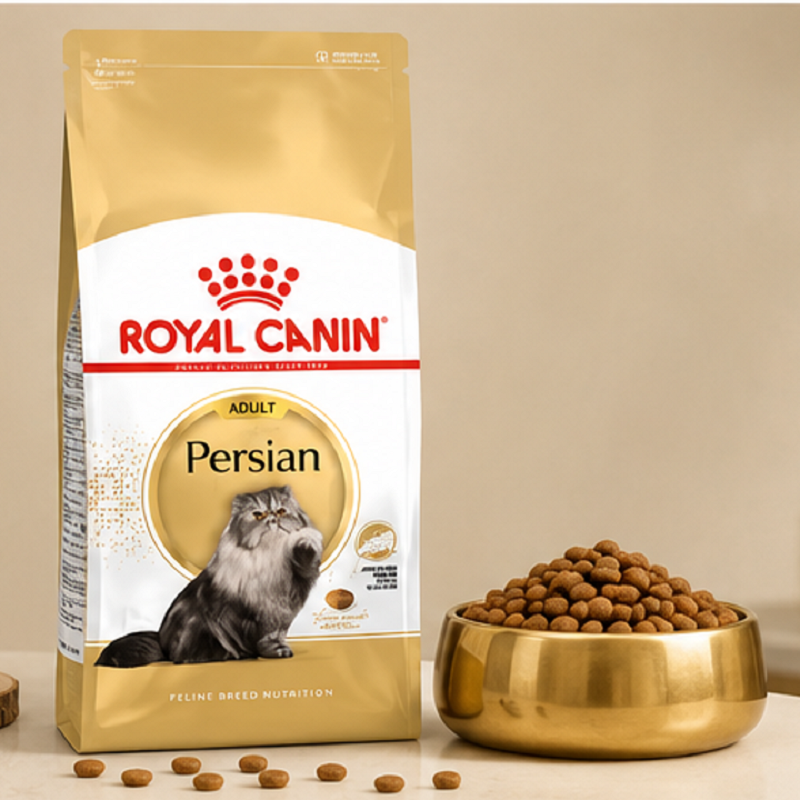 غذای خشک گربه پرشین رویال کنین 10 کیلوگرم Royal Canin Persian Adult