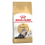 غذای خشک گربه پرشین رویال کنین 10 کیلوگرم Royal Canin Persian Adult