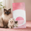 غذای خشک گربه رویال کنین مادر و بچه 500 گرم Royal Canin Mother and Baby