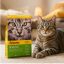 غذای خشک گربه بالغ جوسرا سنسی کت 500 گرم Josera sensicat