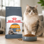 غذای خشک گربه هیر اند اسکین رویال کنین 10 کیلوگرم Royal Canin Hair and Skin