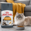 غذای خشک گربه پوست و مو رویال کنین 2 کیلوگرم Royal Canin Hair and Skin