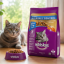غذای خشک گربه بالغ ویسکاس 1.4 کیلوگرم Whiskas Adult