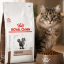 غذای خشک گربه هپاتیک رویال کنین 2 کیلوگرم Royal Canin Hepatic Adult