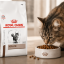 غذای خشک گربه هپاتیک رویال کنین 2 کیلوگرم Royal Canin Hepatic Adult