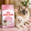 غذای خشک گربه مادر و بچه رویال کنین 2 کیلوگرم Royal Canin Mother and Baby