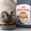 غذای خشک گربه پوست و مو رویال کنین 2 کیلوگرم Royal Canin Hair and Skin