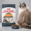 غذای خشک گربه پوست و مو رویال کنین 1 کیلوگرم Royal Canin Hair and Skin