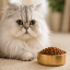 غذای خشک گربه پرشین رویال کنین 500 گرم Royal Canin Persian Adult