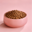 غذای خشک گربه رویال کنین کیتن 2 کیلوگرم Royal Canin Kitten