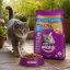 غذای خشک گربه بالغ ویسکاس 1.4 کیلوگرم Whiskas Adult
