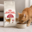 غذای خشک گربه رویال کنین فیت 2 کیلوگرم Royal Canin Fit Adult