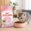 غذای خشک گربه مادر و بچه رویال کنین 2 کیلوگرم Royal Canin Mother and Baby