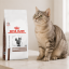 غذای خشک گربه هپاتیک رویال کنین 1 کیلوگرم Royal Canin Hepatic Adult