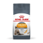 غذای خشک گربه پوست و مو رویال کنین 2 کیلوگرم Royal Canin Hair and Skin