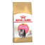 غذای خشک گربه رویال کنین پرشین کیتن 2 کیلوگرم Royal Canin Persian Kitten