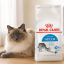 غذای خشک گربه ایندور رویال کنین 1 کیلوگرم Royal Canin indoor adult