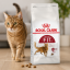 غذای خشک گربه فیت رویال کنین 1 کیلوگرم Royal Canin Fit Adult