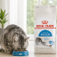 غذای خشک گربه ایندور رویال کنین 1 کیلوگرم Royal Canin indoor adult