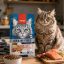 غذای خشک گربه ونپی با طعم سالمون 8 کیلوگرم Wanpy Adult Cat Dry food