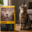 غذای خشک گربه جوسرا کتلوکس 5 کیلوگرم Josera Catelux