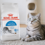 غذای خشک گربه ایندور رویال کنین 1 کیلوگرم Royal Canin indoor adult