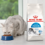 غذای خشک گربه ایندور رویال کنین 10 کیلوگرم Royal Canin Indoor