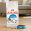 غذای خشک گربه ایندور رویال کنین 1 کیلوگرم Royal Canin indoor adult