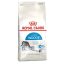 غذای خشک گربه رویال کنین ایندور 500 گرم Royal Canin Indoor