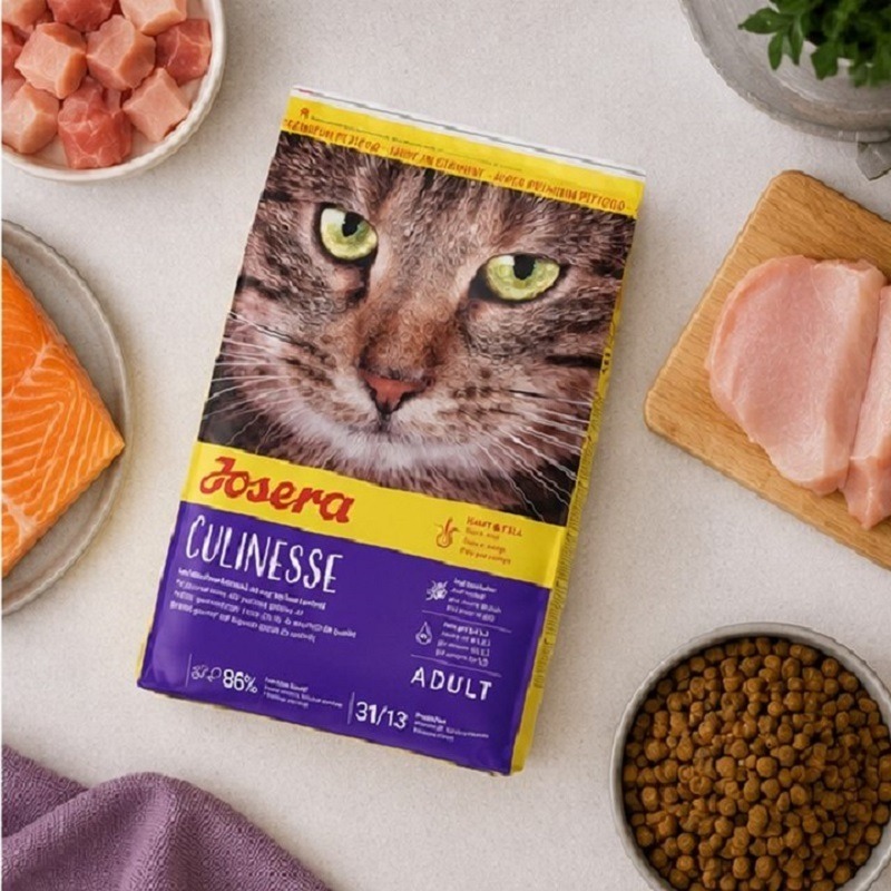 غذای خشک گربه جوسرا کولینس 500 گرم Josera Gastro