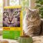 غذای خشک گربه جوسرا سنسی کت 10 کیلوگرم Josera sensicat