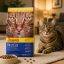 غذای خشک گربه دیلی کت جوسرا 500 گرم Josera Dailycat