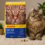 غذای خشک گربه دیلی کت جوسرا 500 گرم Josera Dailycat