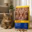 غذای خشک گربه بالغ دیلی کت جوسرا 10 کیلوگرم Josera Dailycat